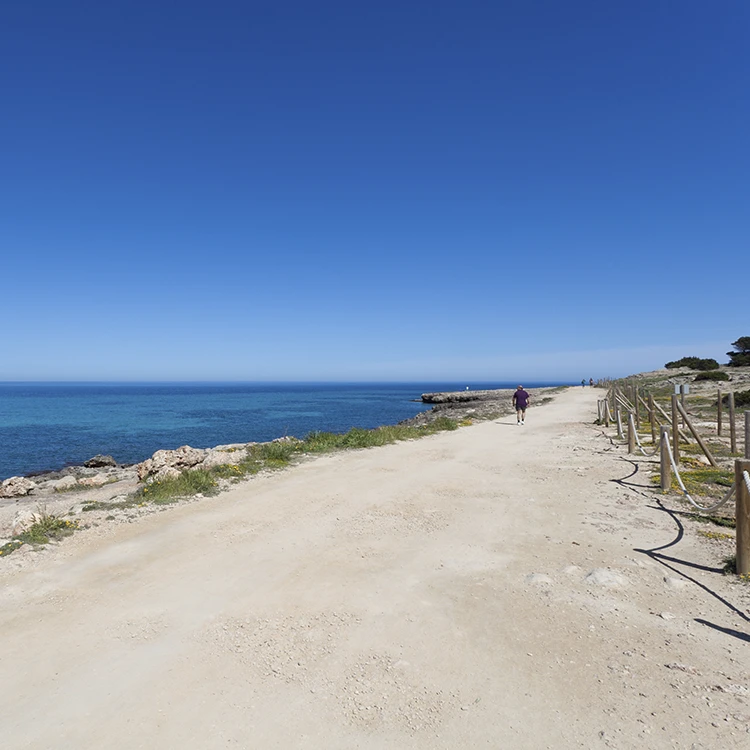 Traslados Mariant Hotels Traslados Mariant Hotels